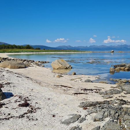 Prima Lofoten Myrland Exteriör bild