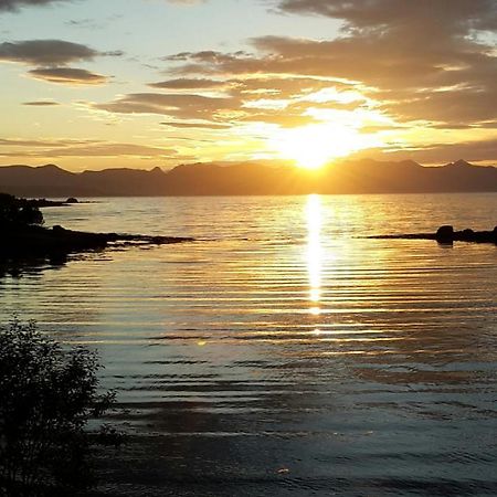 Prima Lofoten Myrland Exteriör bild