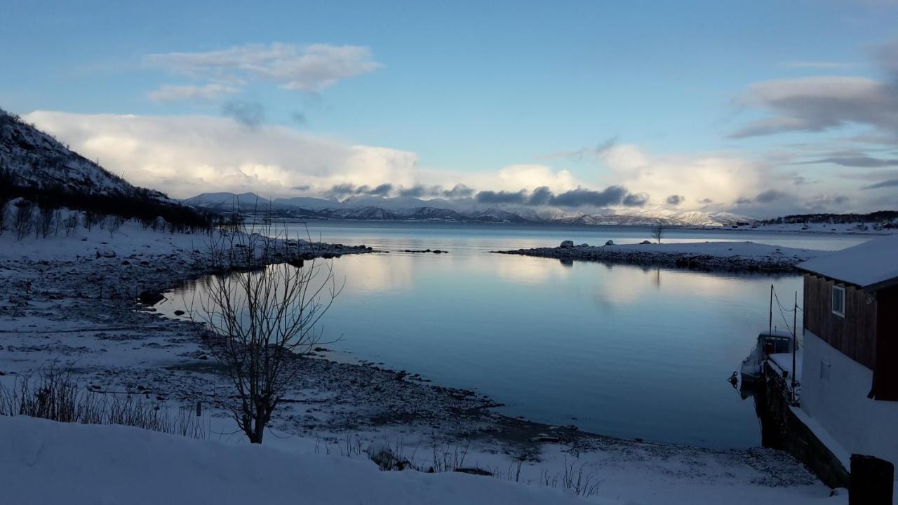 Prima Lofoten Myrland Exteriör bild