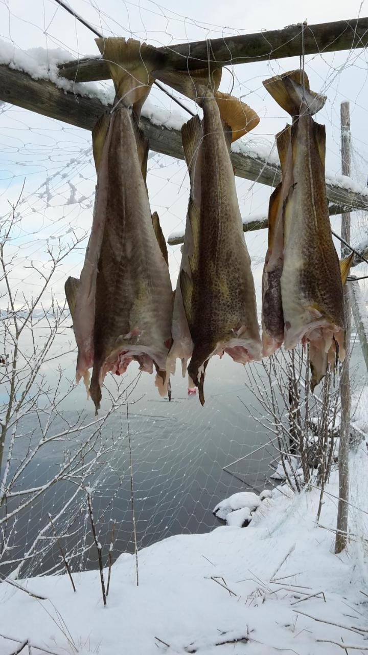 Prima Lofoten Myrland Exteriör bild