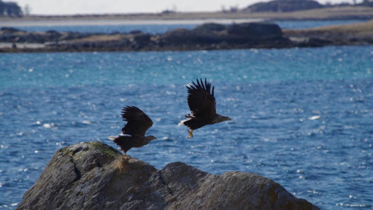 Prima Lofoten Myrland Exteriör bild