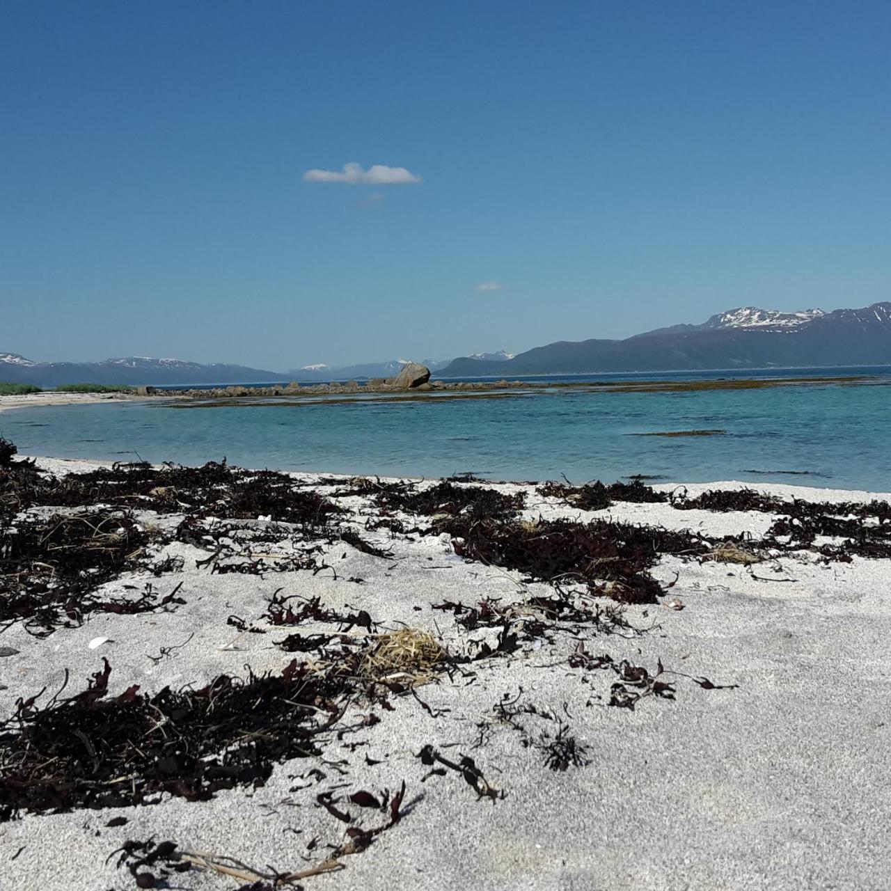 Prima Lofoten Myrland Exteriör bild