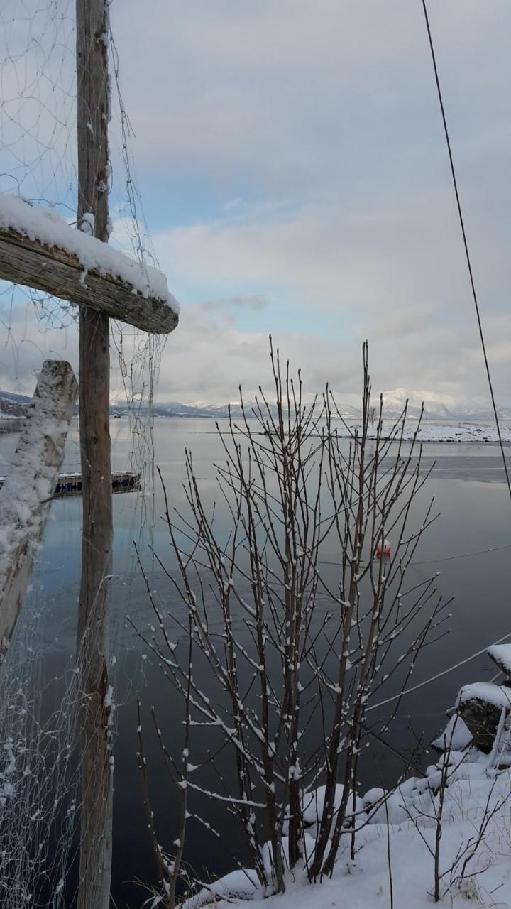 Prima Lofoten Myrland Exteriör bild