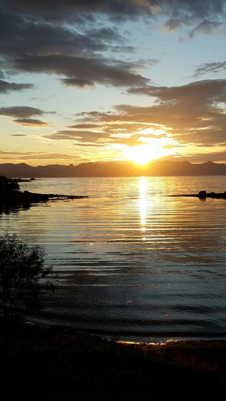 Prima Lofoten Myrland Exteriör bild