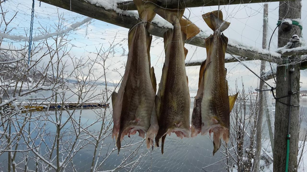 Prima Lofoten Myrland Exteriör bild